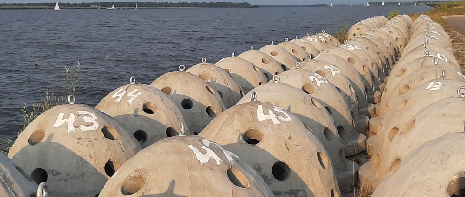 200 'Reef balls' installed in lake IJsselmeer